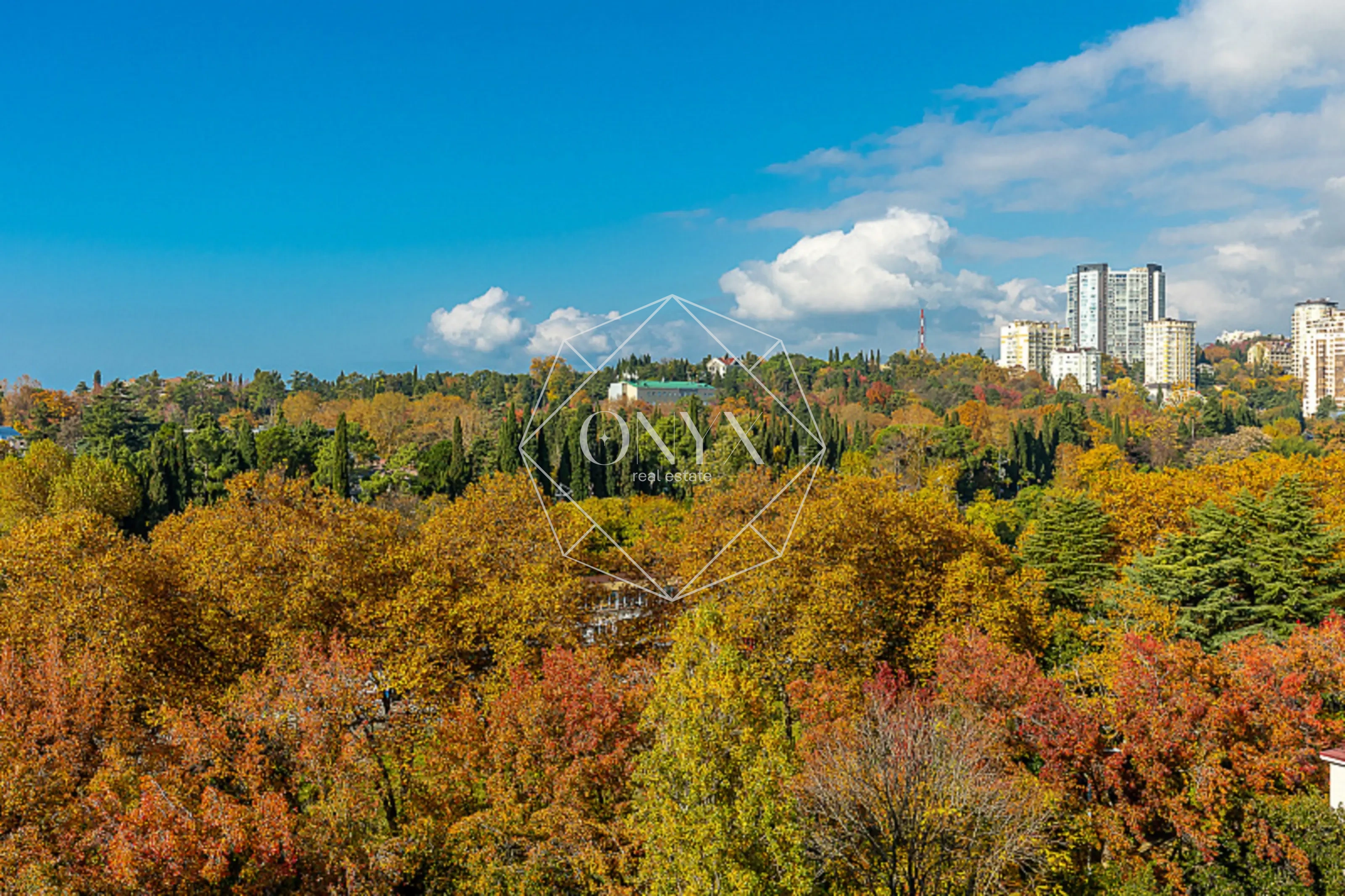 Изображение 19