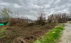 Уютном тихом районе