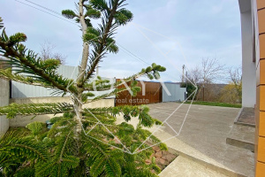 Изображение 12