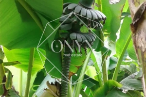 Изображение 15