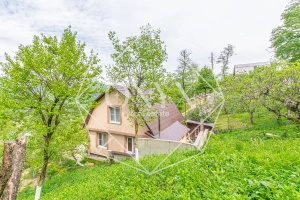 Изображение 13