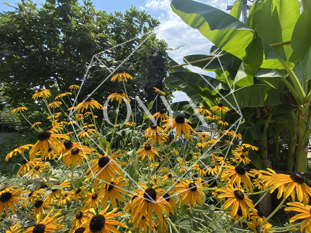 Изображение 10