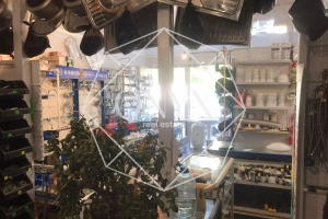 Изображение 12