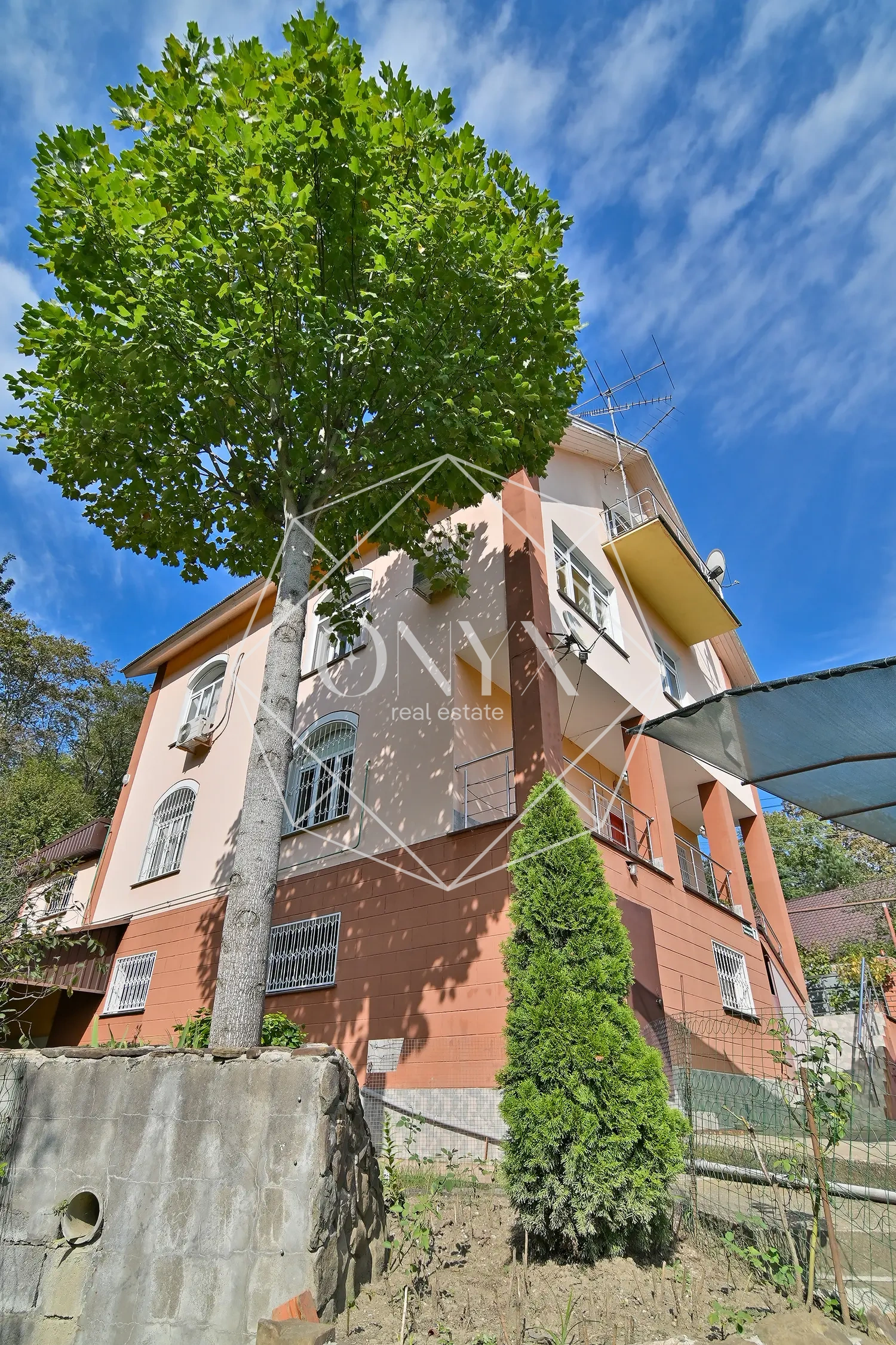 Изображение 12