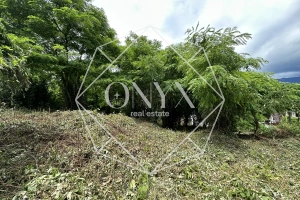 Изображение 13