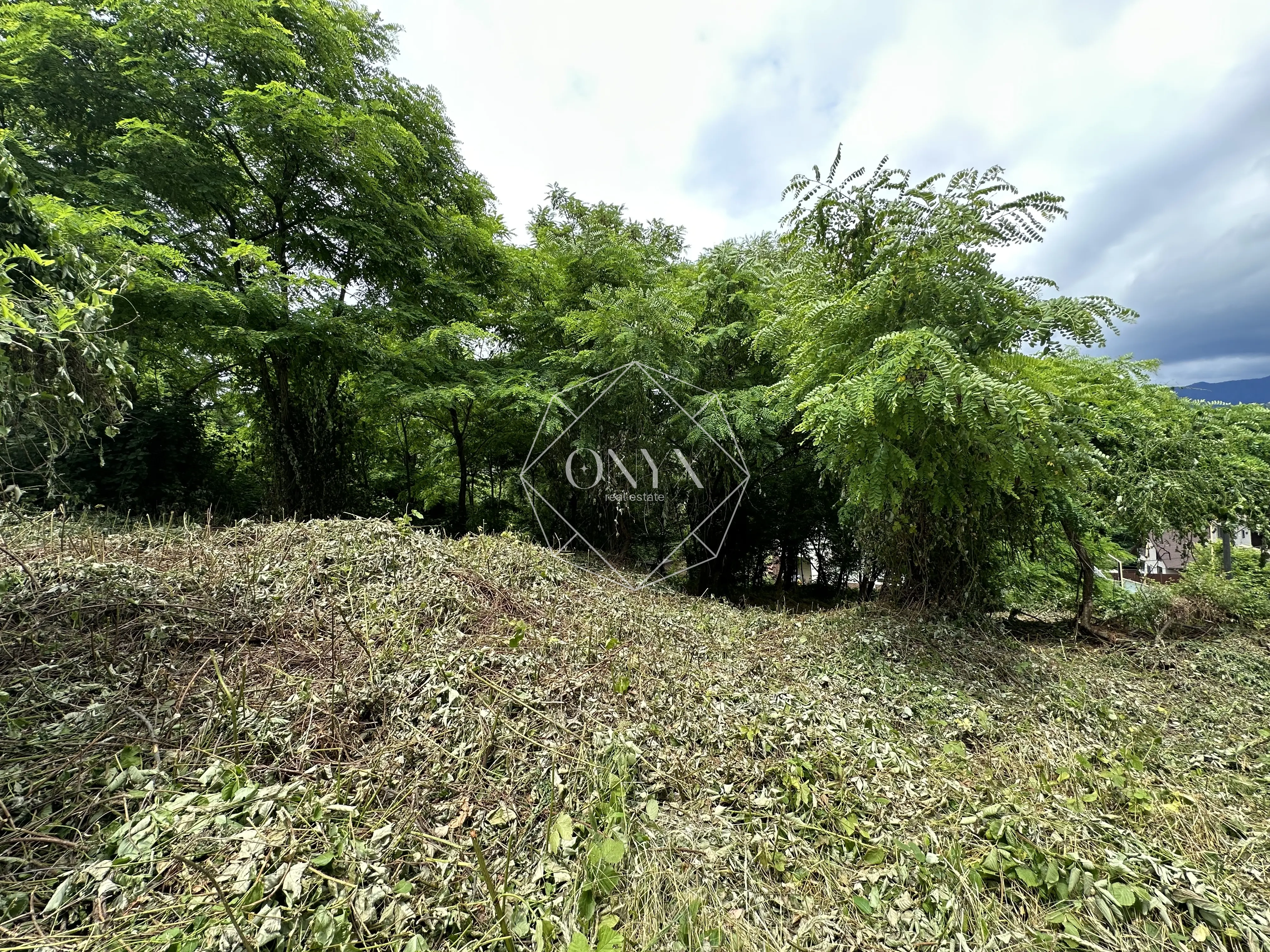 Изображение 13