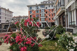 Изображение 6