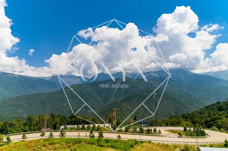 Изображение 8