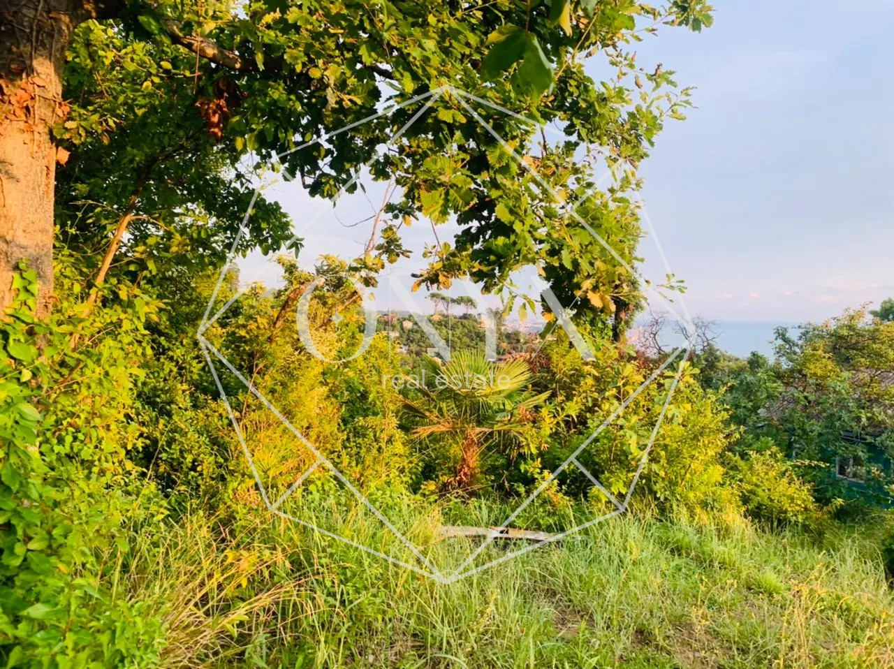 Изображение 10