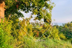 Изображение 10