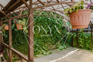 Изображение 10