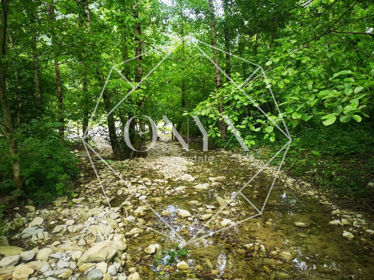 Изображение 14