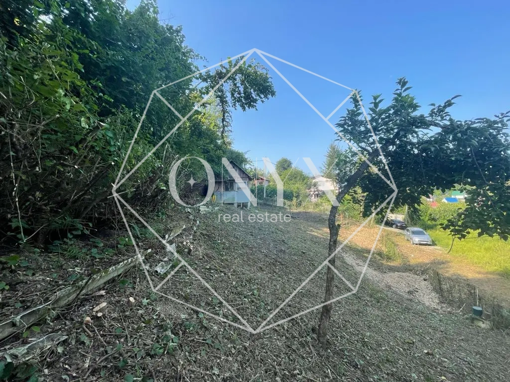 Изображение 7