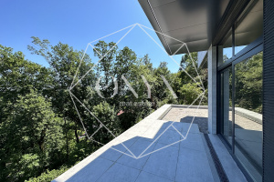 Изображение 11