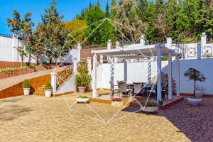 Изображение 18