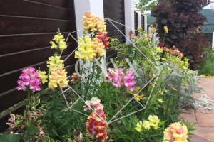 Изображение 11