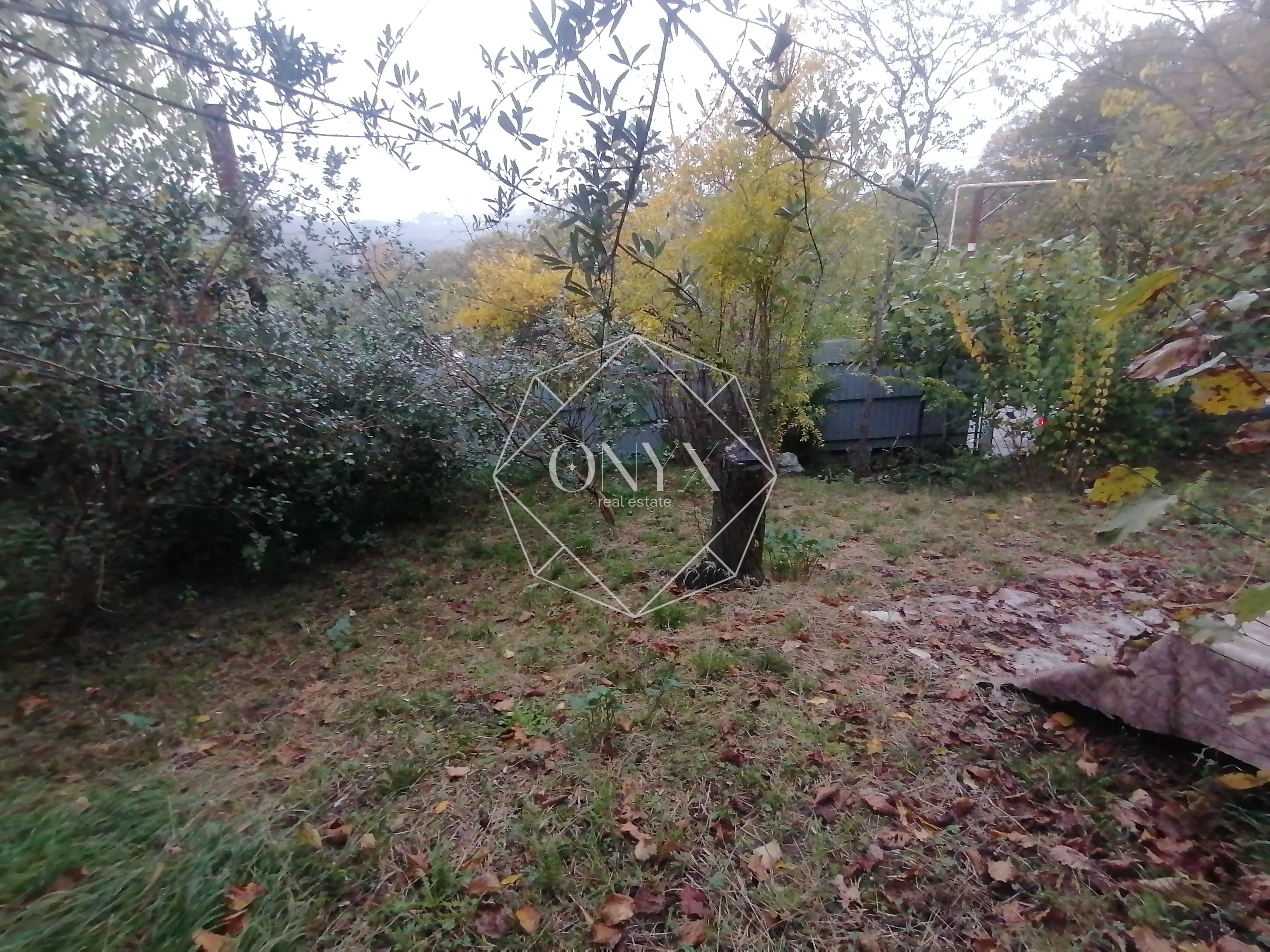 Изображение 12