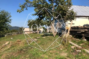 Изображение 10