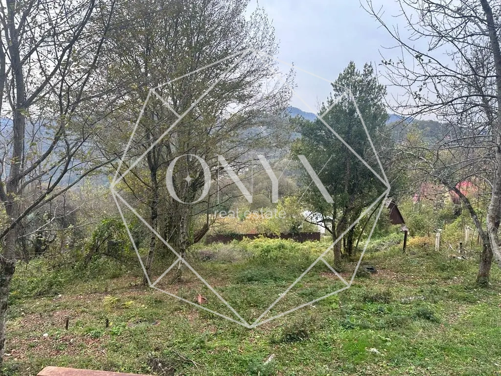 Изображение 13