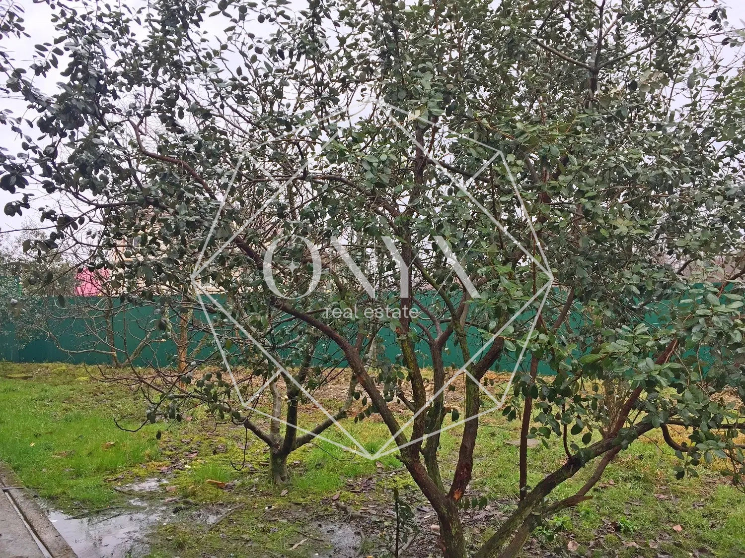 Изображение 10