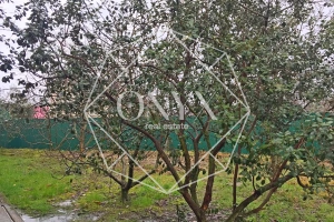 Изображение 10