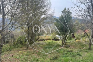 Изображение 13