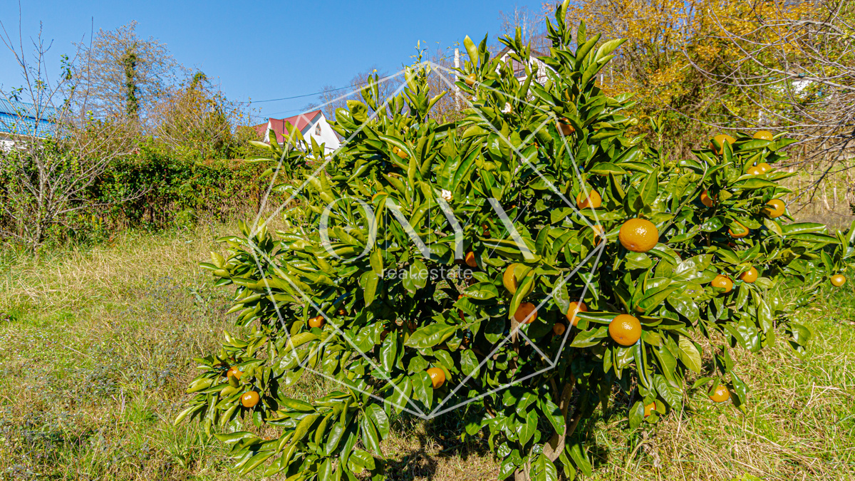 Изображение 14