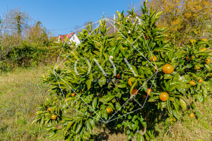 Изображение 14