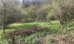 Участок на джапаридзе