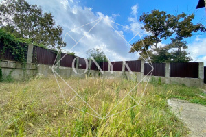 Изображение 11