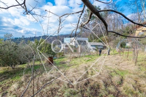 Изображение 15