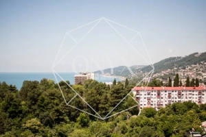 Изображение 13