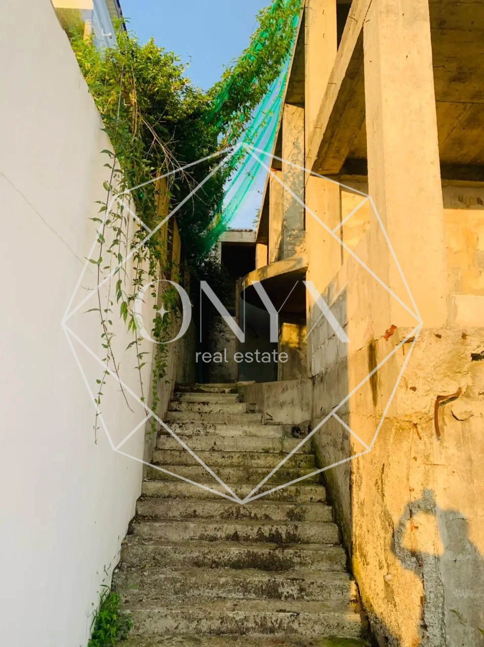 Изображение 25