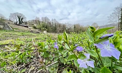 Прекрасно подойдет под коттеджную постройку