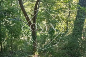 Изображение 9