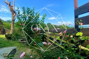 Изображение 13