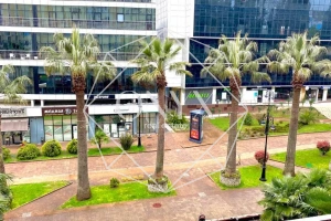 Изображение 10