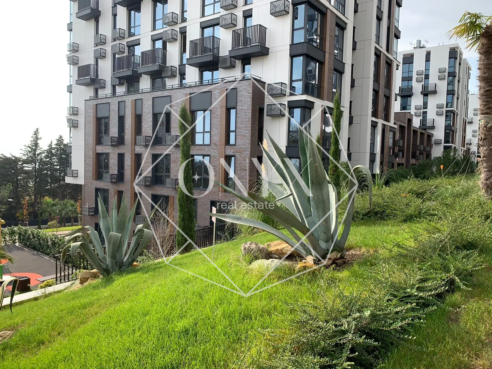 Изображение 15