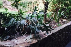 Изображение 11