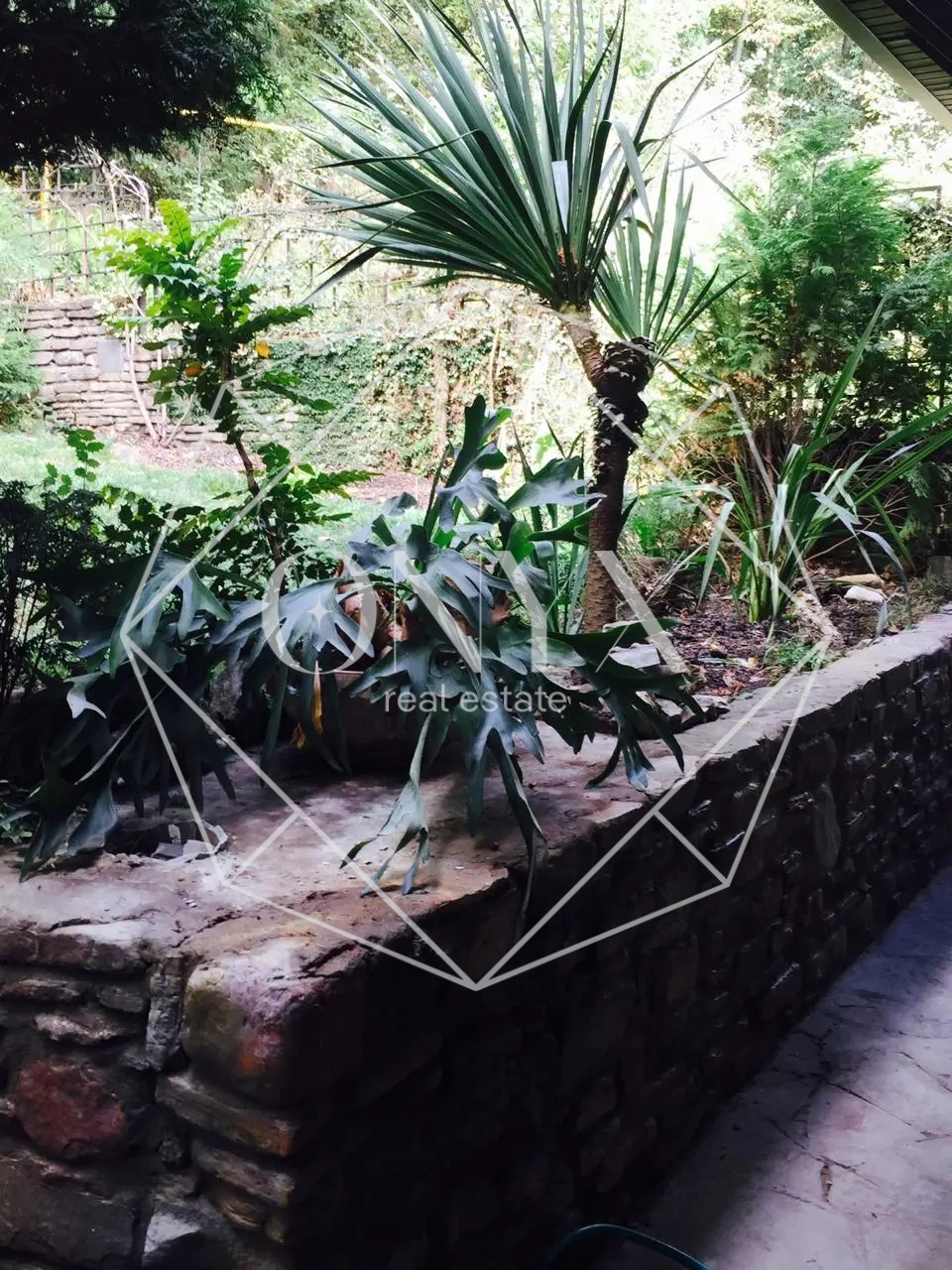 Изображение 11