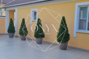 Изображение 20