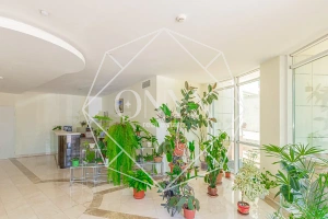 Изображение 39