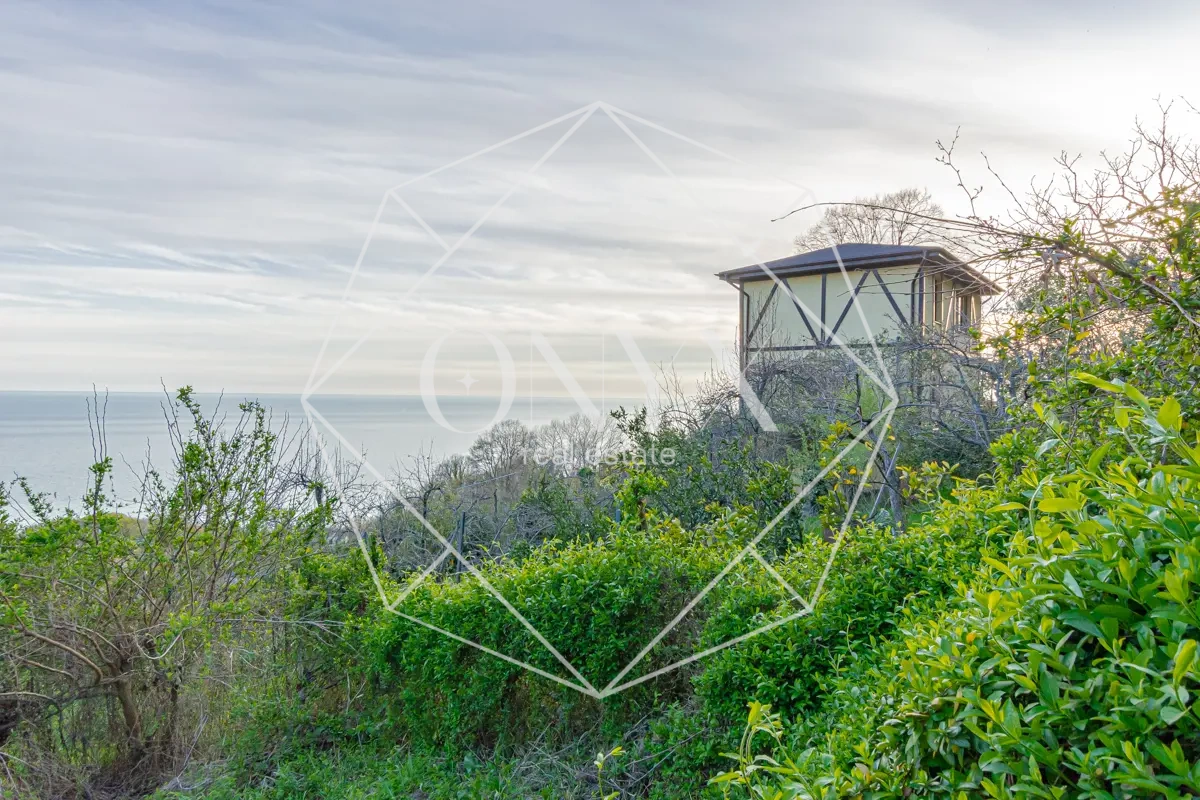 Изображение 8