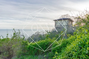 Изображение 8