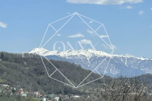 Изображение 10