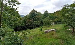 Шикарный участок в Галицино