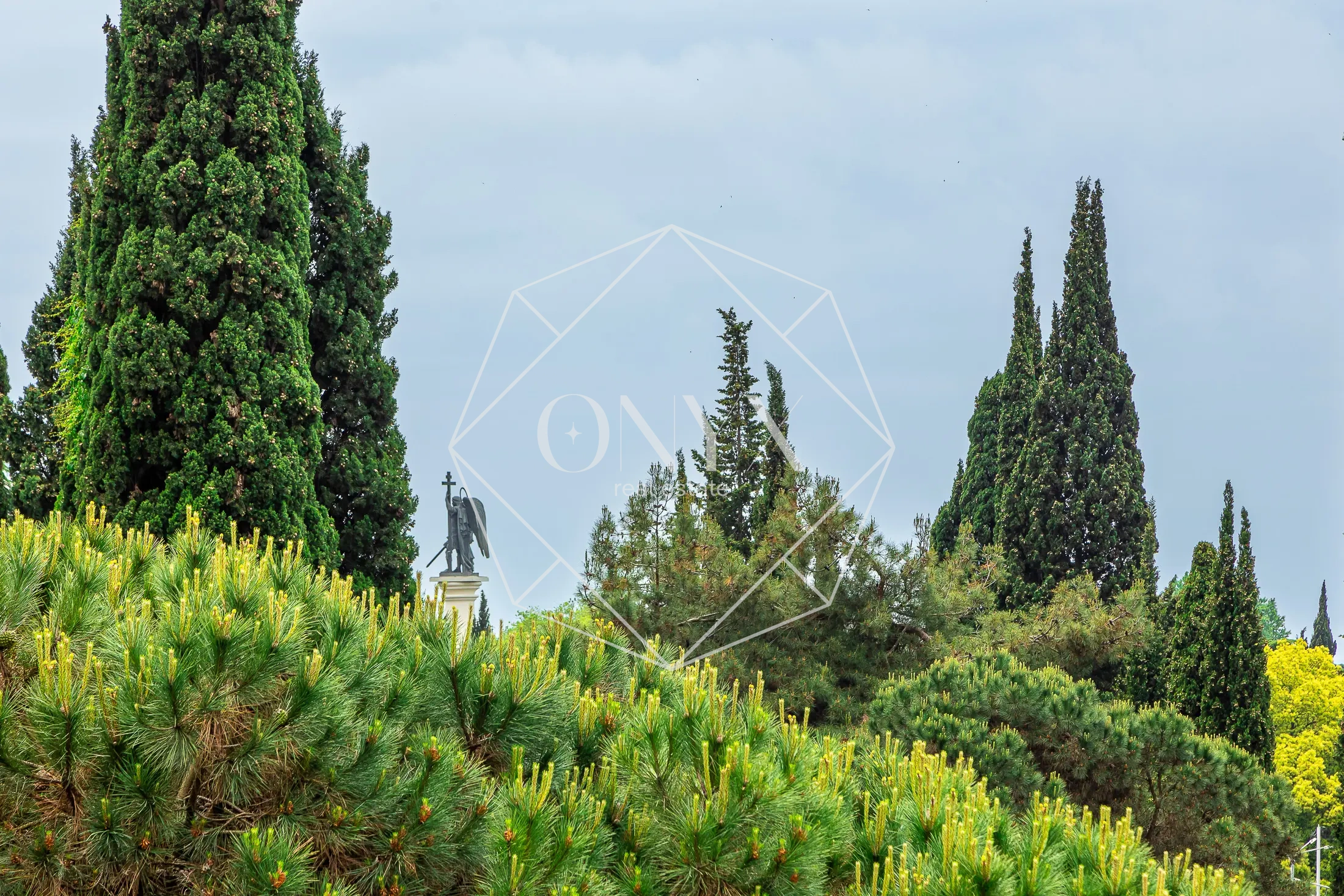 Изображение 41