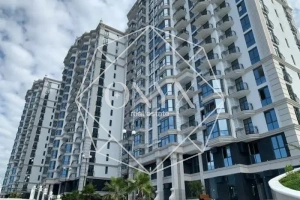 Изображение 33