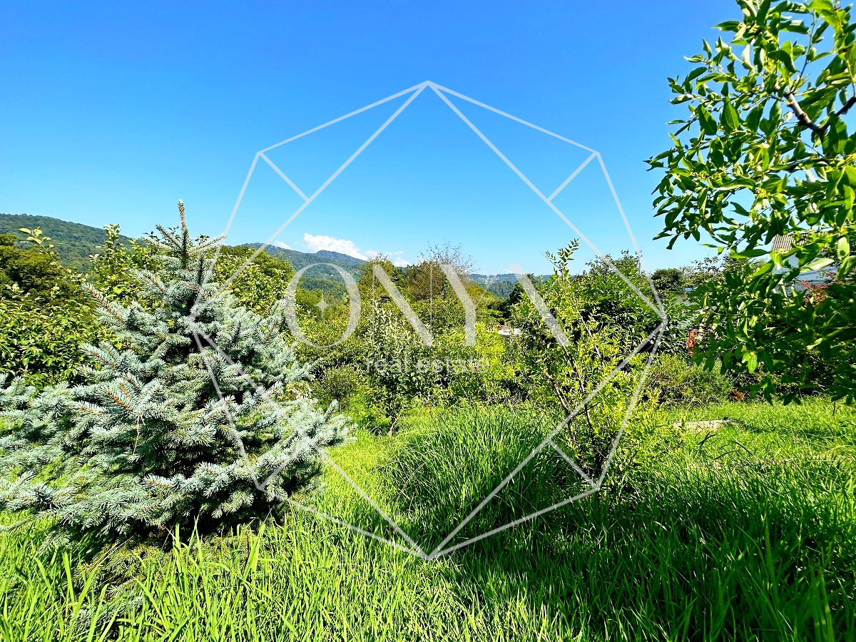 Изображение 17