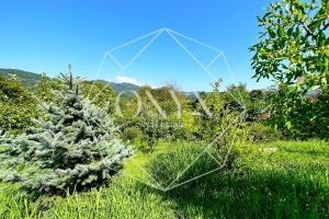 Изображение 17